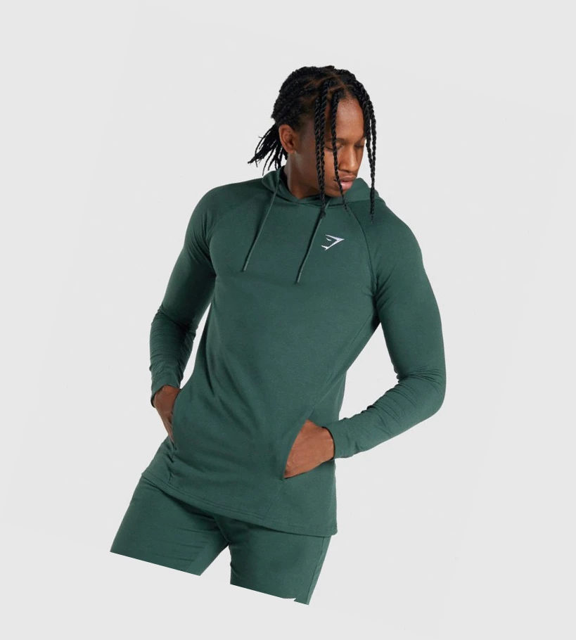 Sudadera Con Capucha Gymshark Critical 2.0 Hombre Verdes Oscuro | XWUVJYK-71