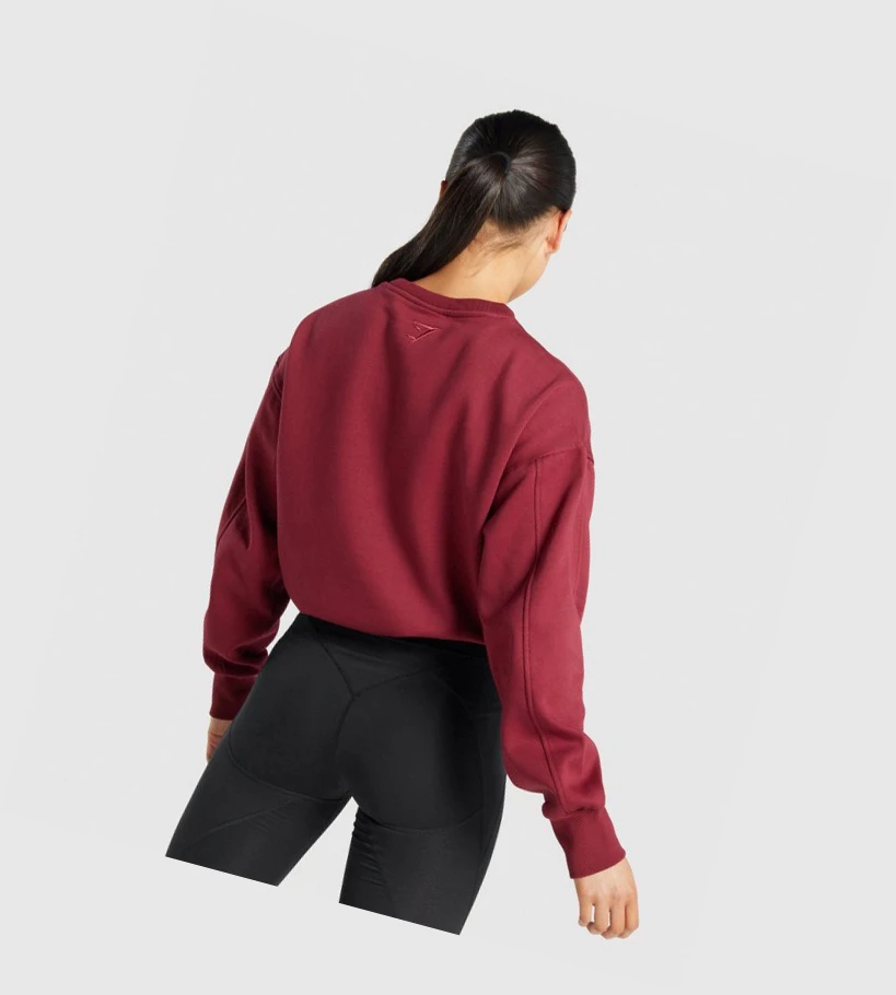 Sudadera Con Capucha Gymshark Pulse Mujer Vino | OFGQEJD-75