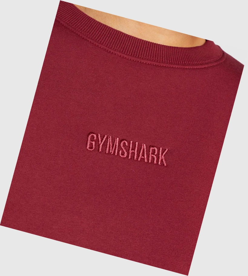 Sudadera Con Capucha Gymshark Pulse Mujer Vino | OFGQEJD-75