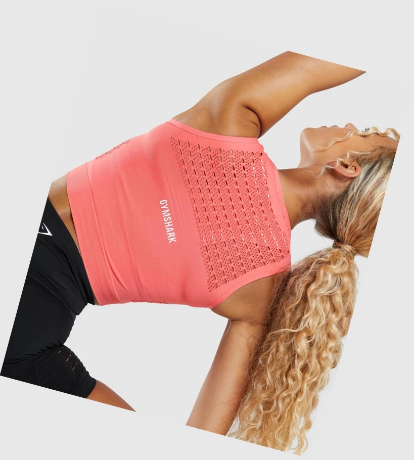 Sudaderas Gymshark Energy Seamless Crop Top Mujer Rosas | LNEQXKM-13