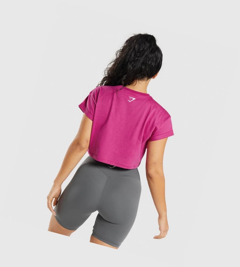 Sudaderas Gymshark Fraction Crop Top Mujer Rosas | AMJWOPD-96