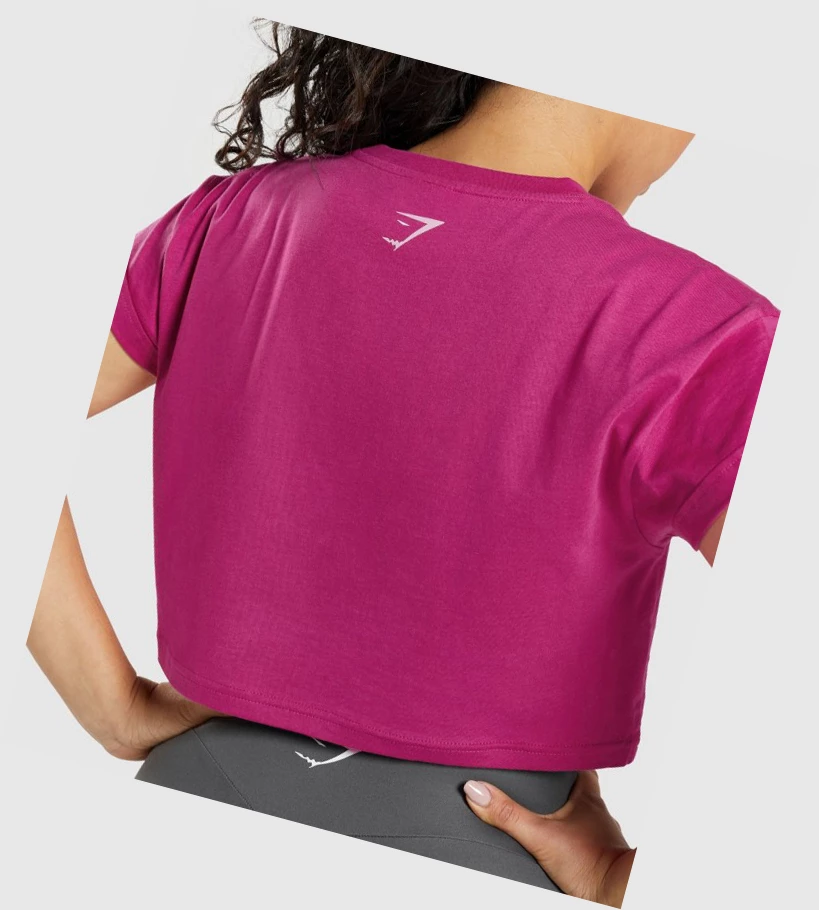 Sudaderas Gymshark Fraction Crop Top Mujer Rosas | AMJWOPD-96