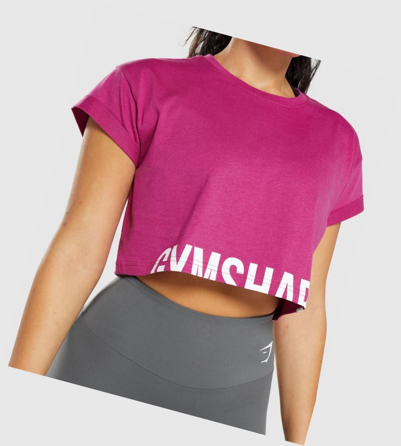 Sudaderas Gymshark Fraction Crop Top Mujer Rosas | AMJWOPD-96