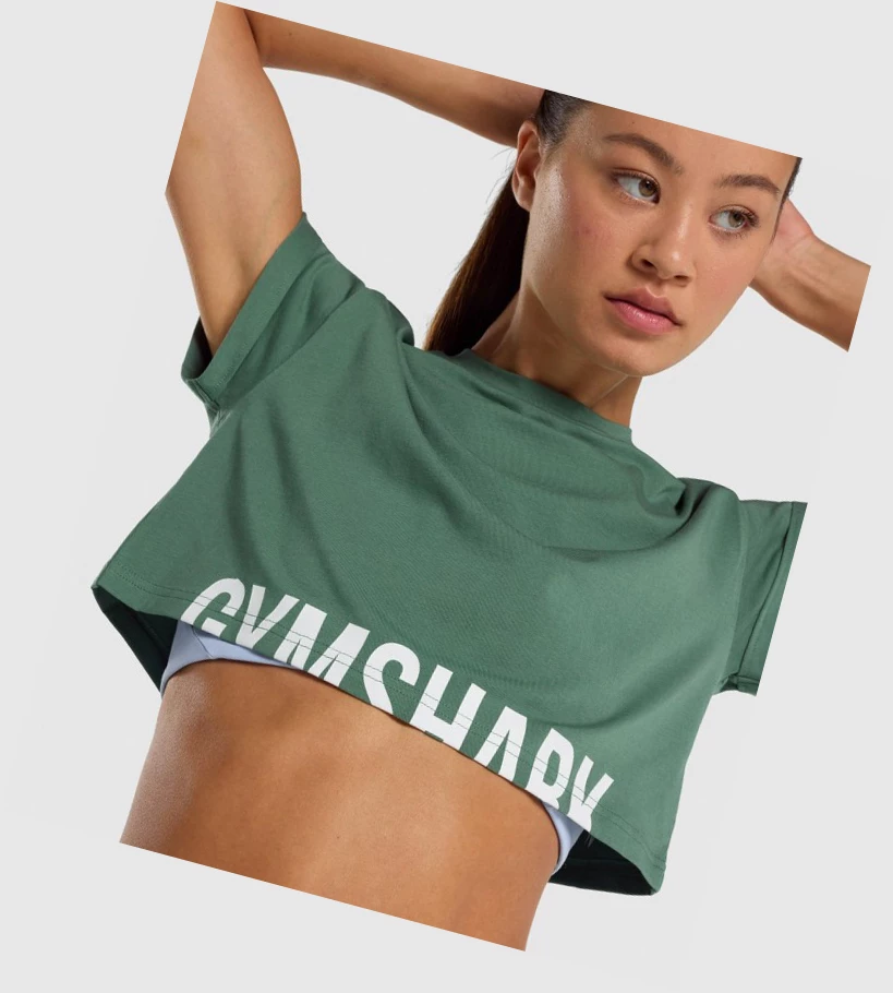 Sudaderas Gymshark Fraction Crop Top Mujer Verdes | OIDGPCR-09