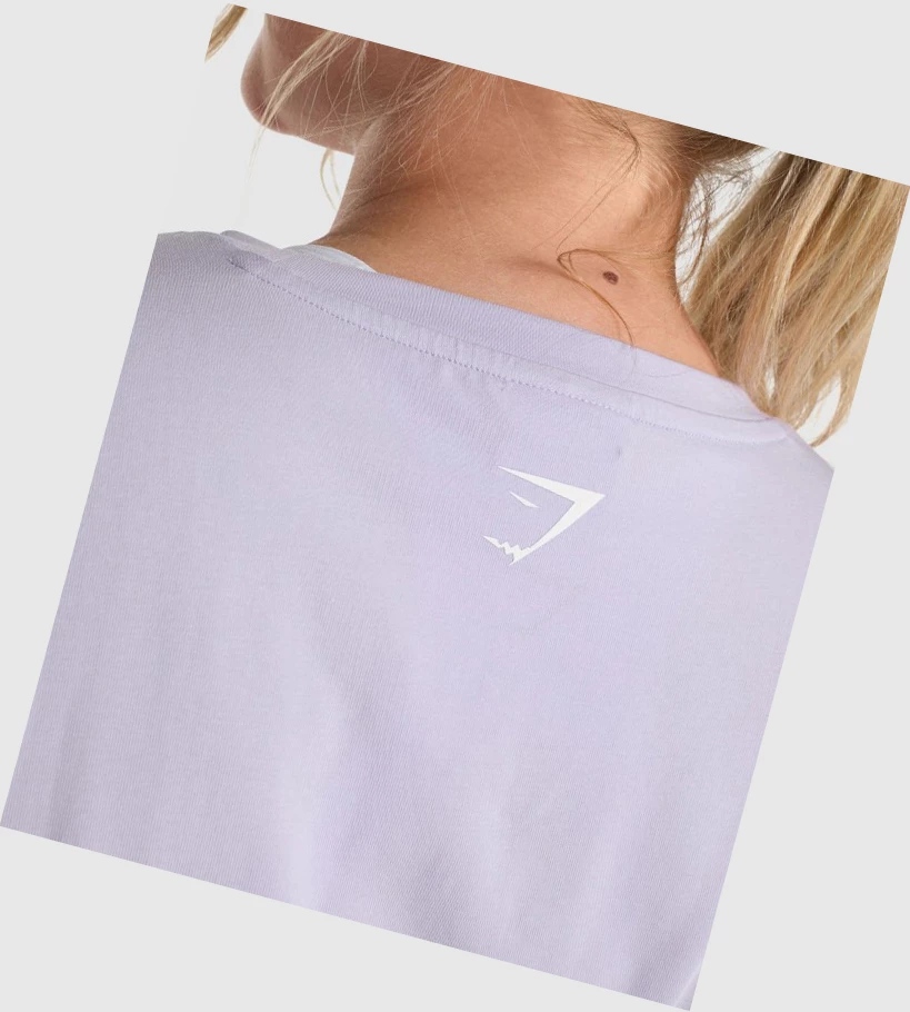 Sudaderas Gymshark Fraction Crop Top Mujer Morados Claro | SODHMIL-46