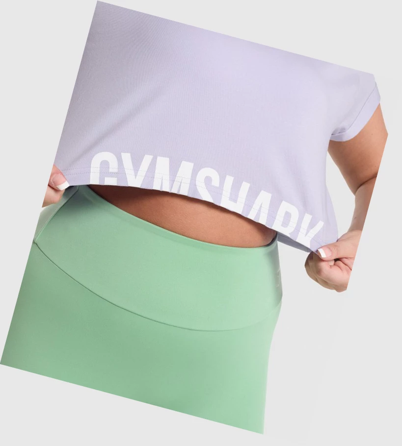 Sudaderas Gymshark Fraction Crop Top Mujer Morados Claro | SODHMIL-46