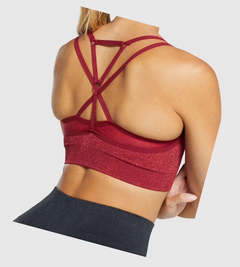 Sujetadores Deportivos Gymshark Adapt Fleck Seamless Mujer Vino | ILFGQKX-84