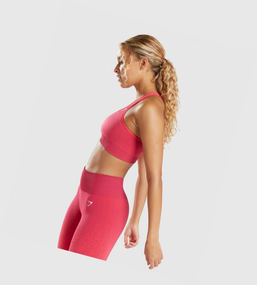 Sujetadores Deportivos Gymshark Adapt Ombre Seamless Mujer Rosas Rojos | MGHJLOA-23