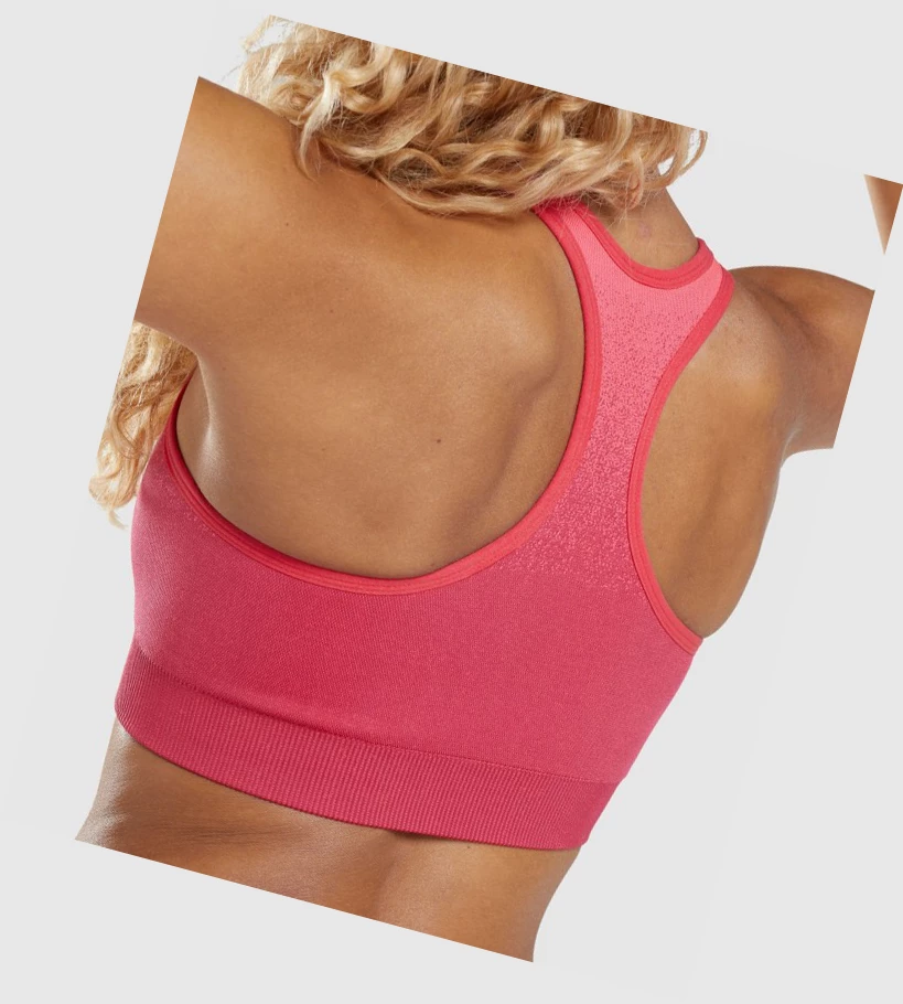 Sujetadores Deportivos Gymshark Adapt Ombre Seamless Mujer Rosas Rojos | MGHJLOA-23