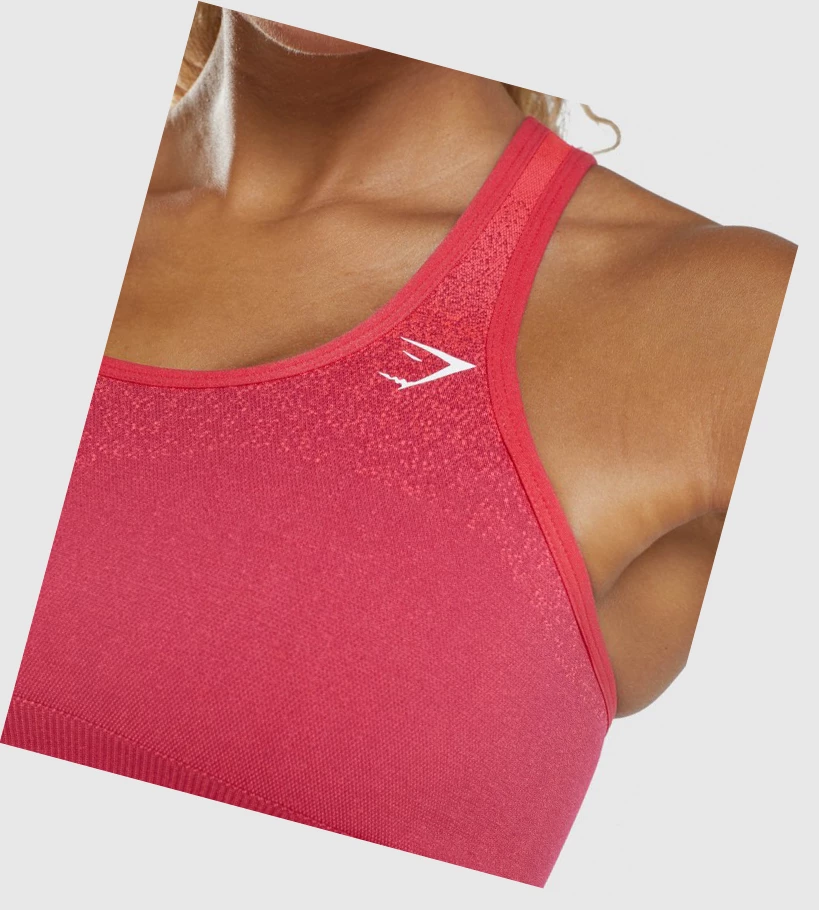 Sujetadores Deportivos Gymshark Adapt Ombre Seamless Mujer Rosas Rojos | MGHJLOA-23