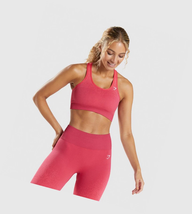 Sujetadores Deportivos Gymshark Adapt Ombre Seamless Mujer Rosas Rojos | MGHJLOA-23