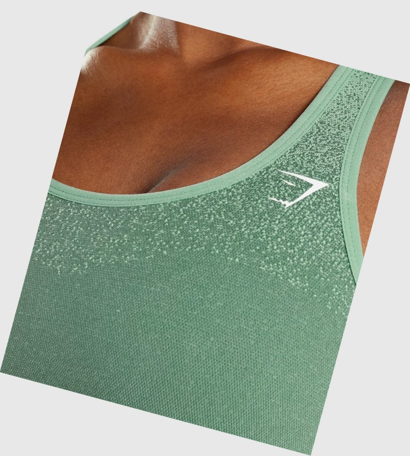 Sujetadores Deportivos Gymshark Adapt Ombre Seamless Mujer Verdes Verdes Claro | TWMYKXI-28