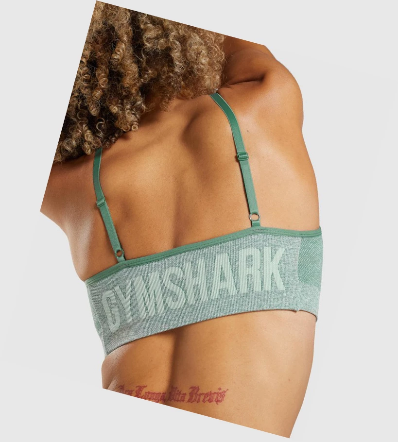 Sujetadores Deportivos Gymshark Flex Tiras Mujer Verdes | JRHOSQK-83