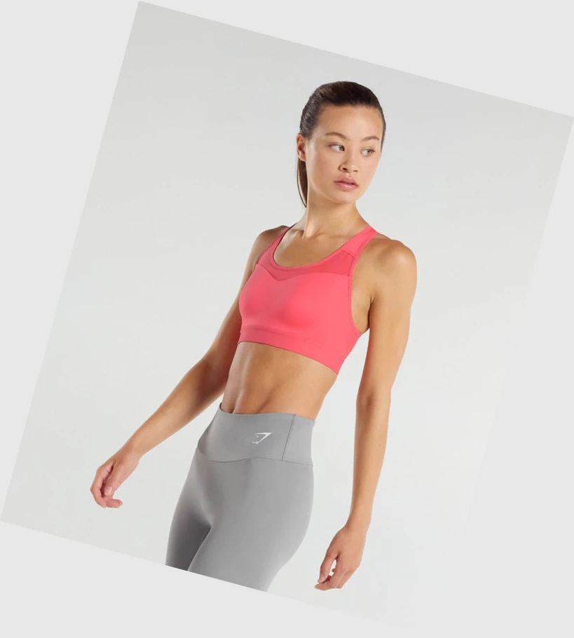 Sujetadores Deportivos Gymshark Open Back Entrenamiento Mujer Rosas | OUDWCHY-68