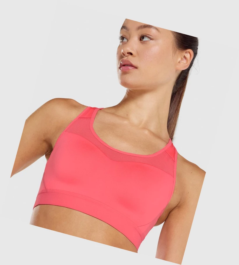 Sujetadores Deportivos Gymshark Open Back Entrenamiento Mujer Rosas | OUDWCHY-68