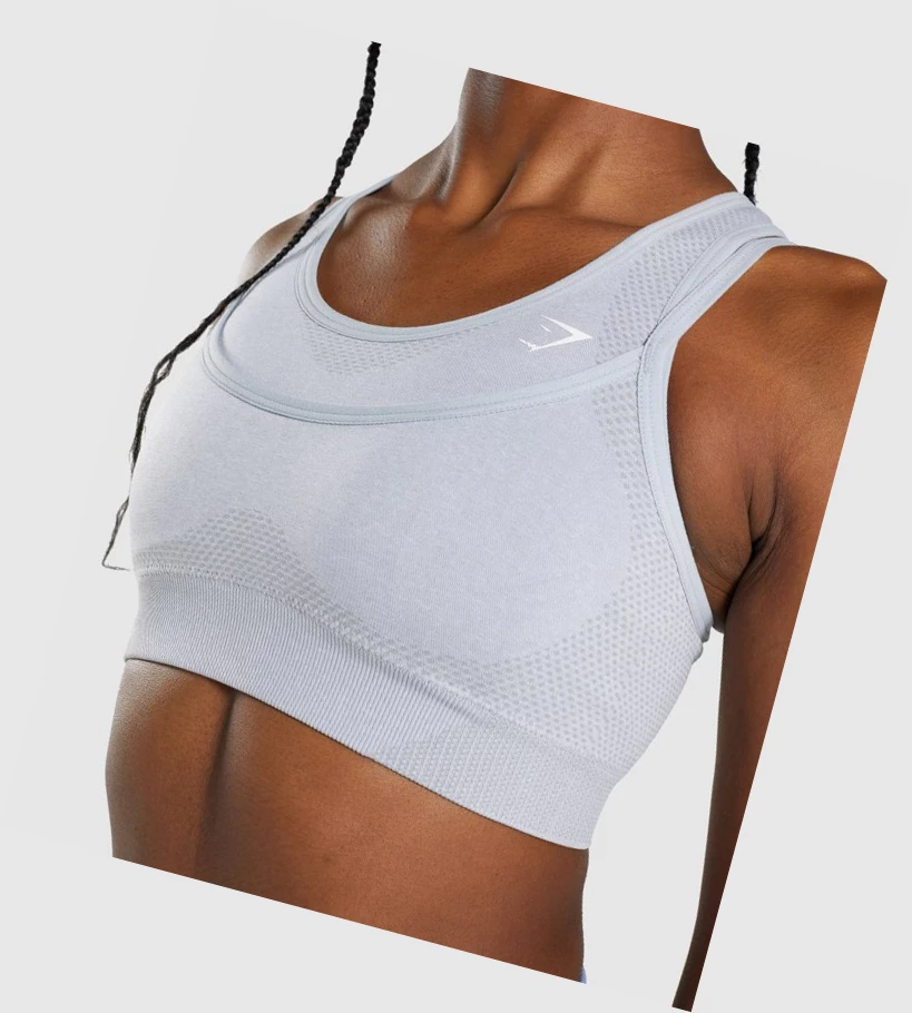 Sujetadores Deportivos Gymshark Vital Rise Seamless Mujer Grises Claro | LMUXBAY-41