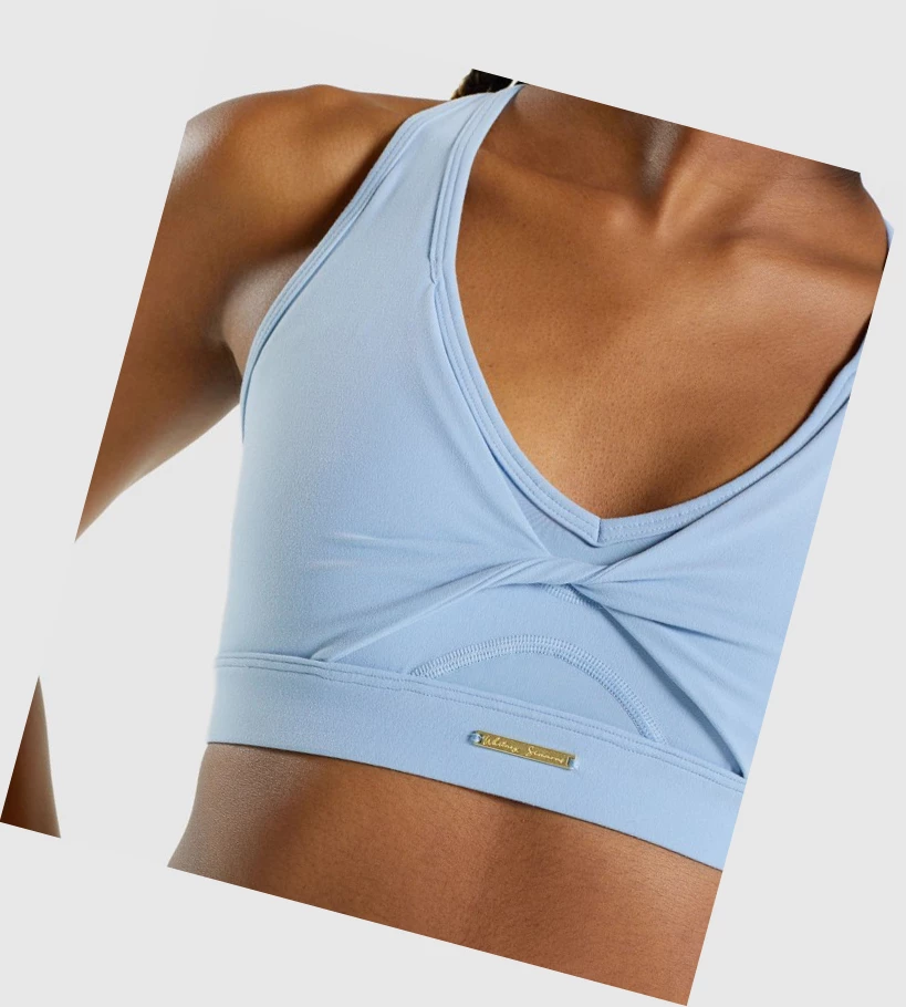 Sujetadores Deportivos Gymshark Whitney Mesh Mujer Azules | OHAEDZR-05